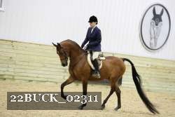 22BUCK_02311 proof