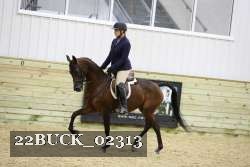 22BUCK_02313 proof