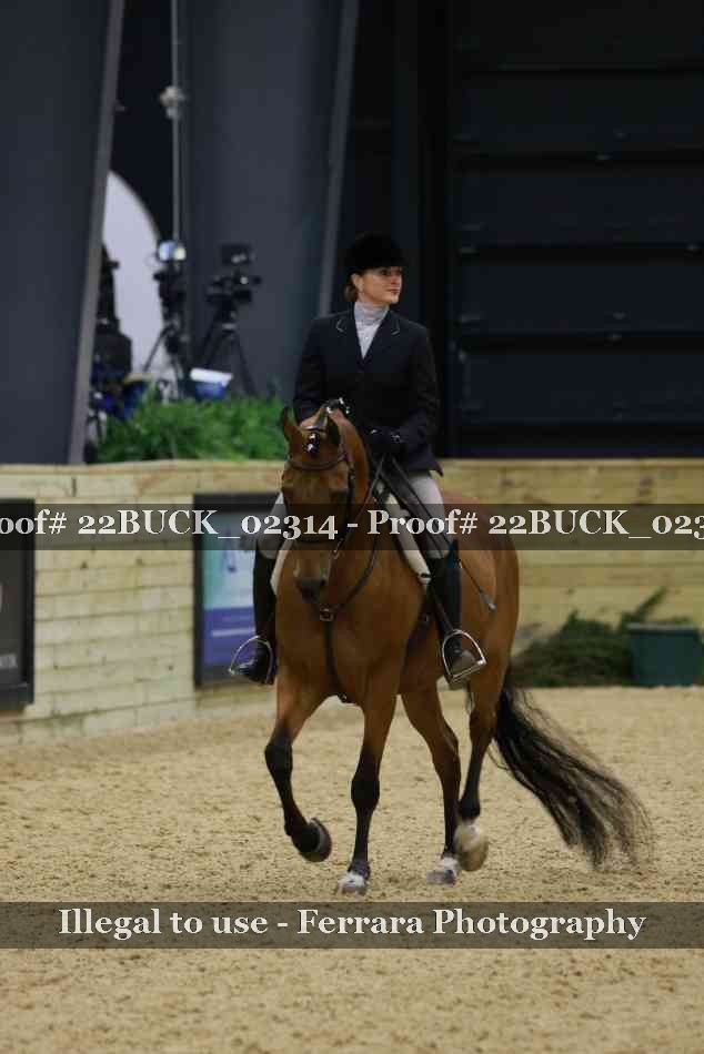 Proof 22BUCK_02314
