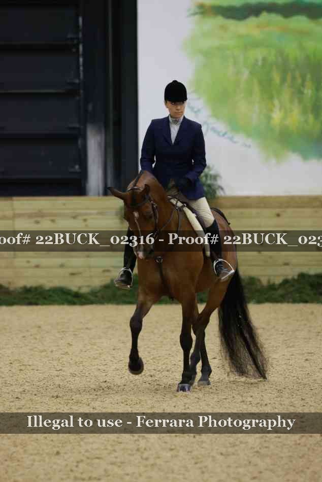 Proof 22BUCK_02316
