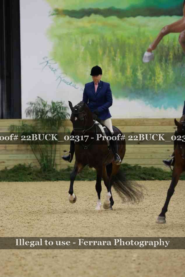 Proof 22BUCK_02317