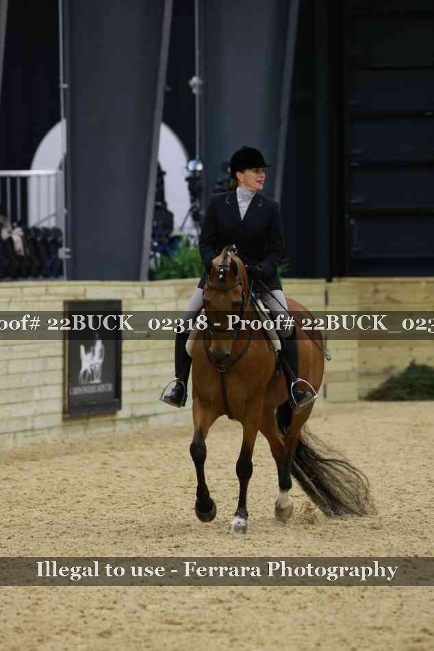 Proof 22BUCK_02318