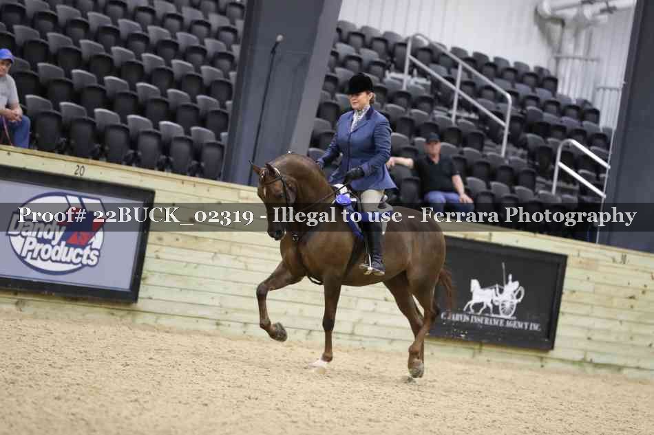 Proof 22BUCK_02319