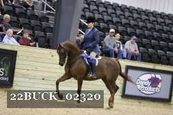22BUCK_02320 proof