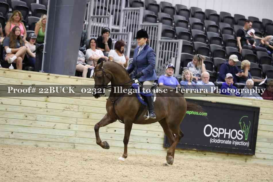 Proof 22BUCK_02321