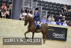 22BUCK_02321 proof