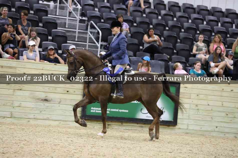 Proof 22BUCK_02322