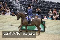 22BUCK_02322 proof