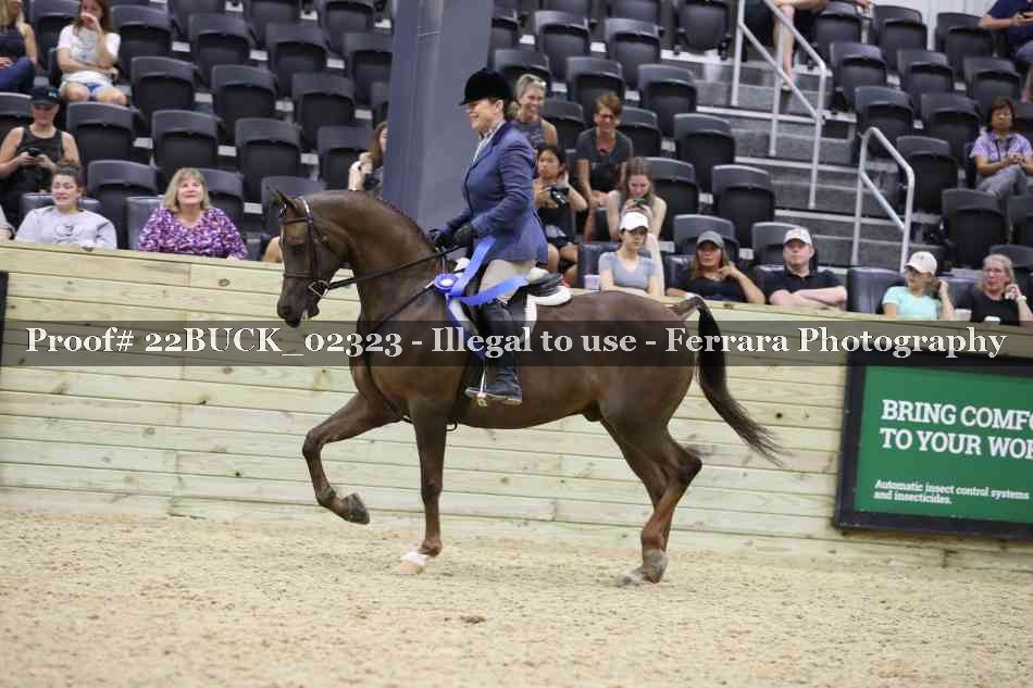 Proof 22BUCK_02323