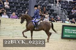 22BUCK_02323 proof