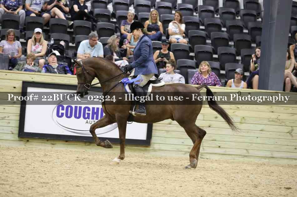Proof 22BUCK_02324