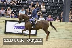 22BUCK_02324 proof