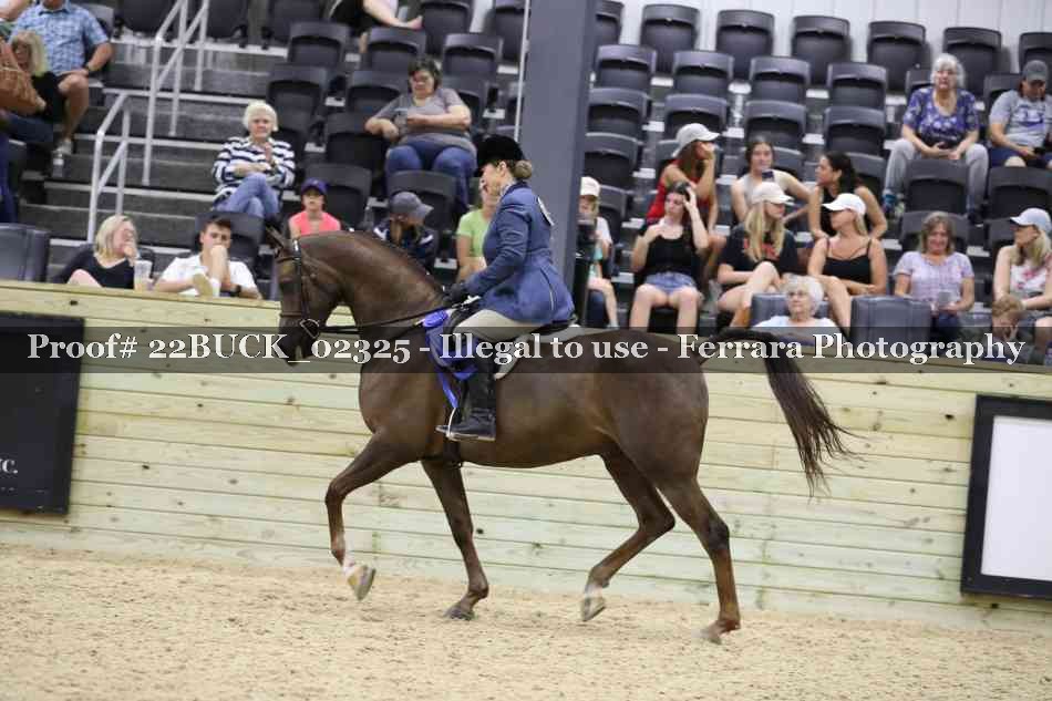 Proof 22BUCK_02325