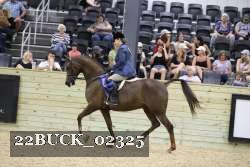 22BUCK_02325 proof