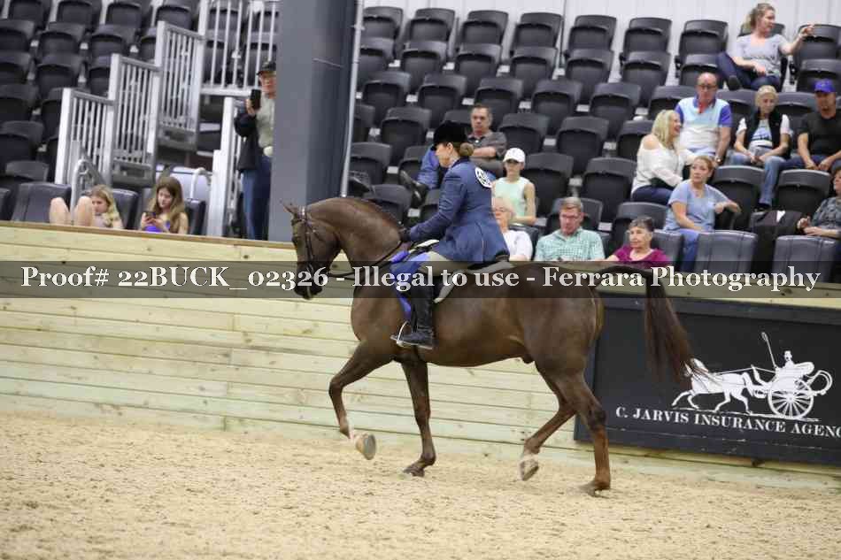 Proof 22BUCK_02326