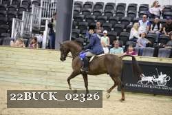 22BUCK_02326 proof