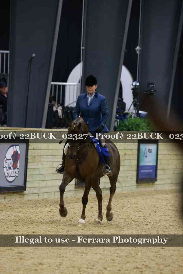 Proof 22BUCK_02327