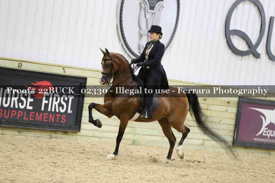 Proof 22BUCK_02330