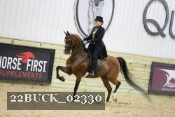 22BUCK_02330 proof