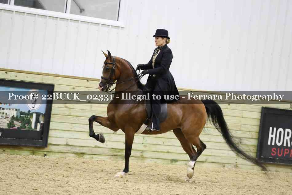 Proof 22BUCK_02331