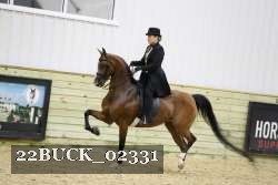22BUCK_02331 proof