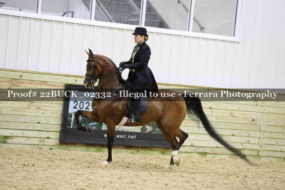 Proof 22BUCK_02332