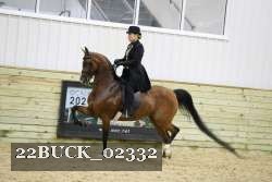 22BUCK_02332 proof