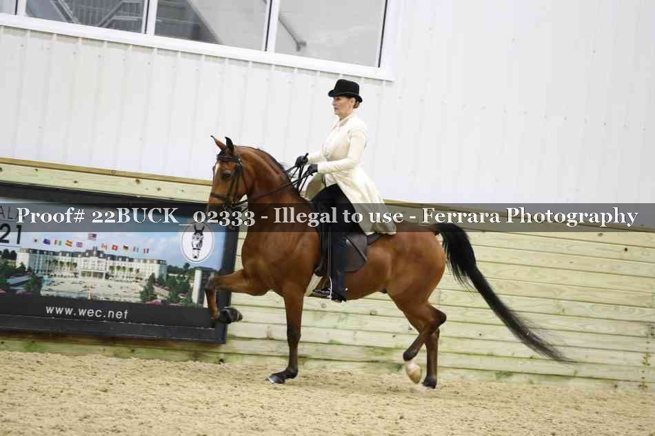 Proof 22BUCK_02333