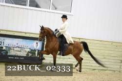 22BUCK_02333 proof