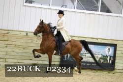 22BUCK_02334 proof
