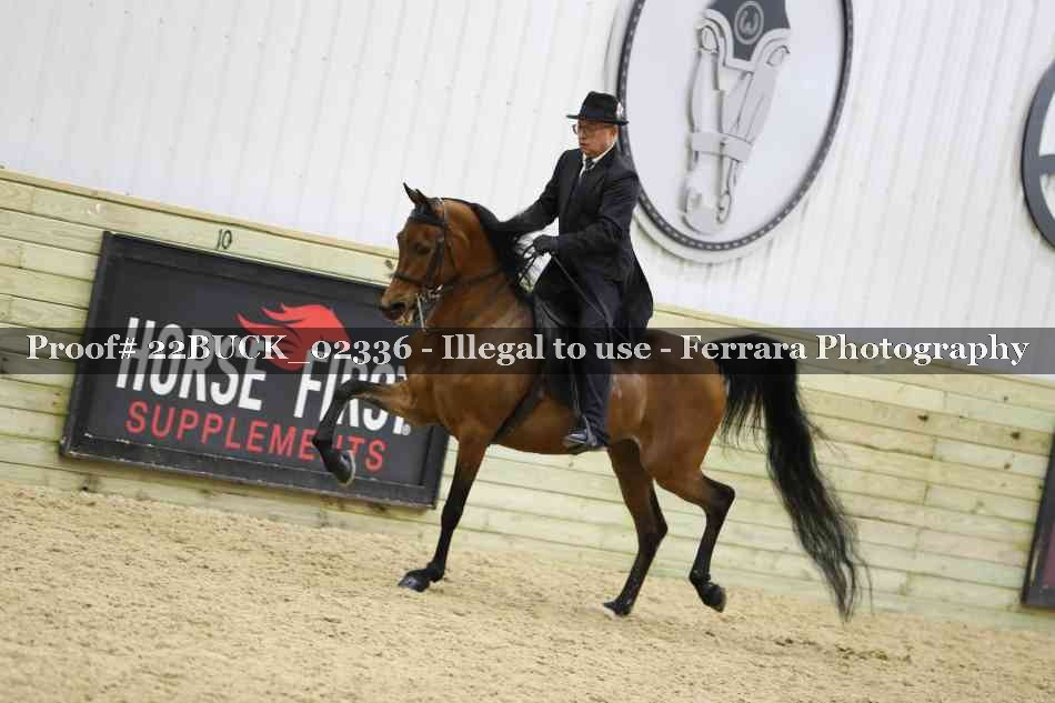 Proof 22BUCK_02336