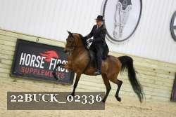 22BUCK_02336 proof