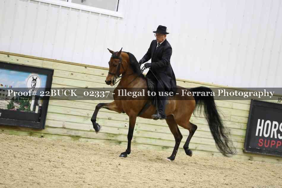 Proof 22BUCK_02337