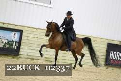 22BUCK_02337 proof