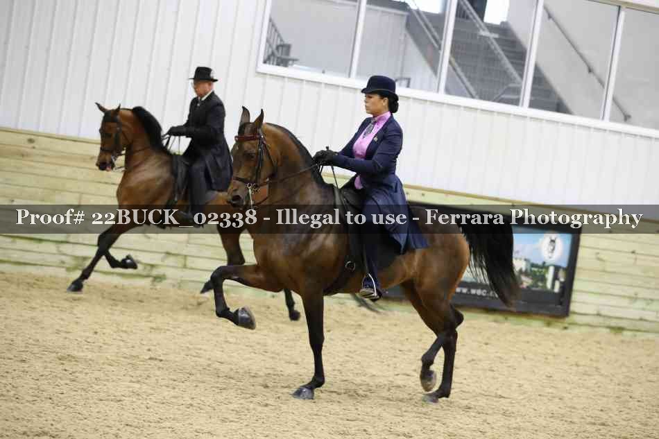 Proof 22BUCK_02338