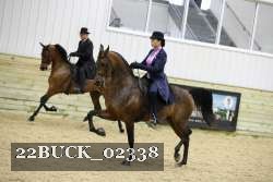 22BUCK_02338 proof