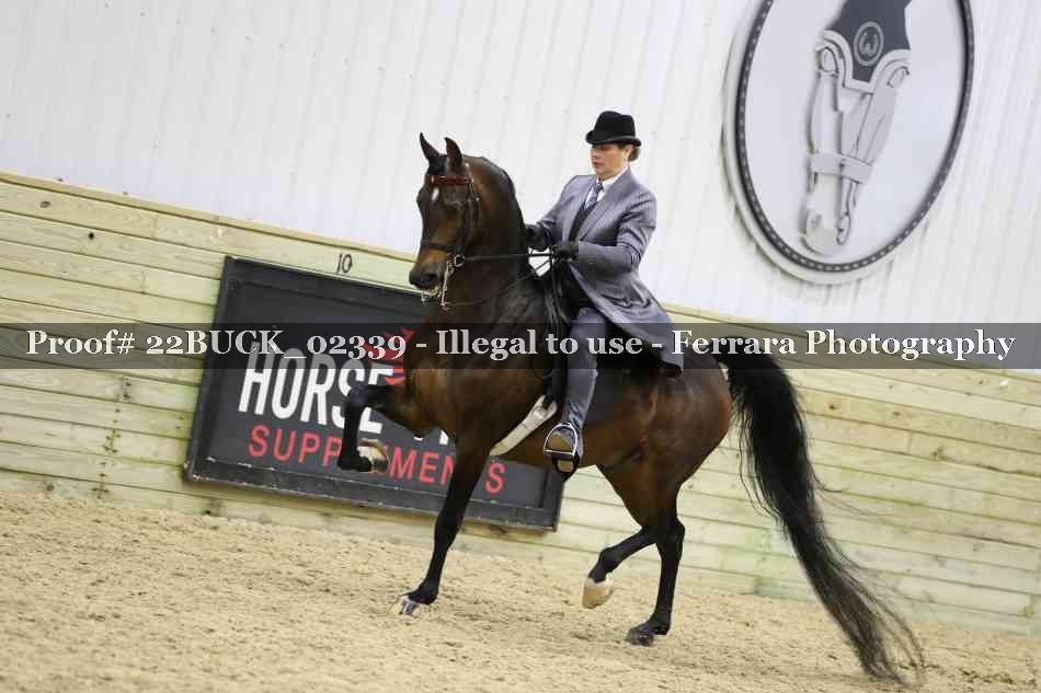 Proof 22BUCK_02339