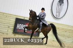 22BUCK_02339 proof
