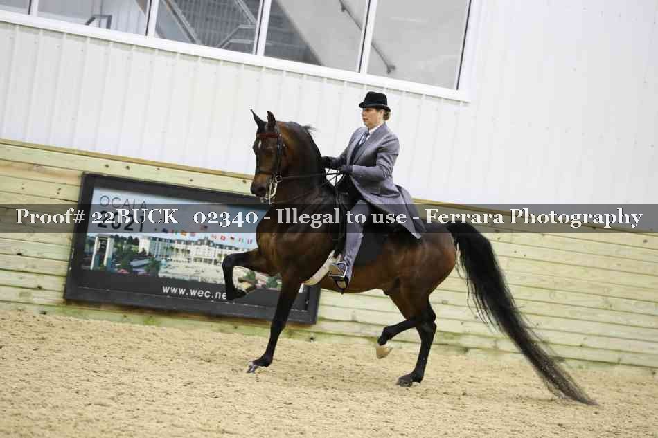 Proof 22BUCK_02340