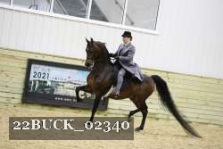 22BUCK_02340 proof