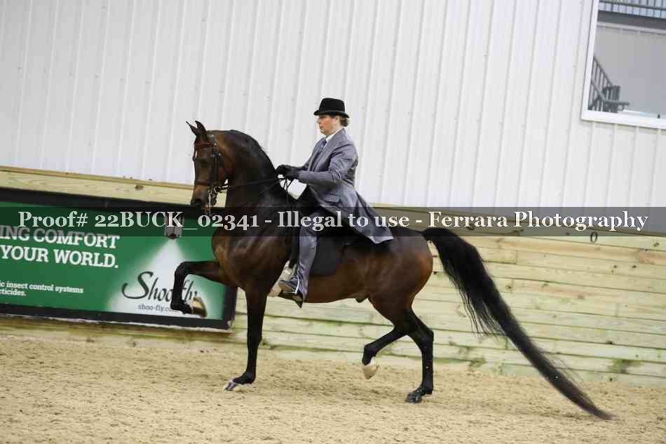 Proof 22BUCK_02341