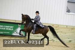 22BUCK_02341 proof