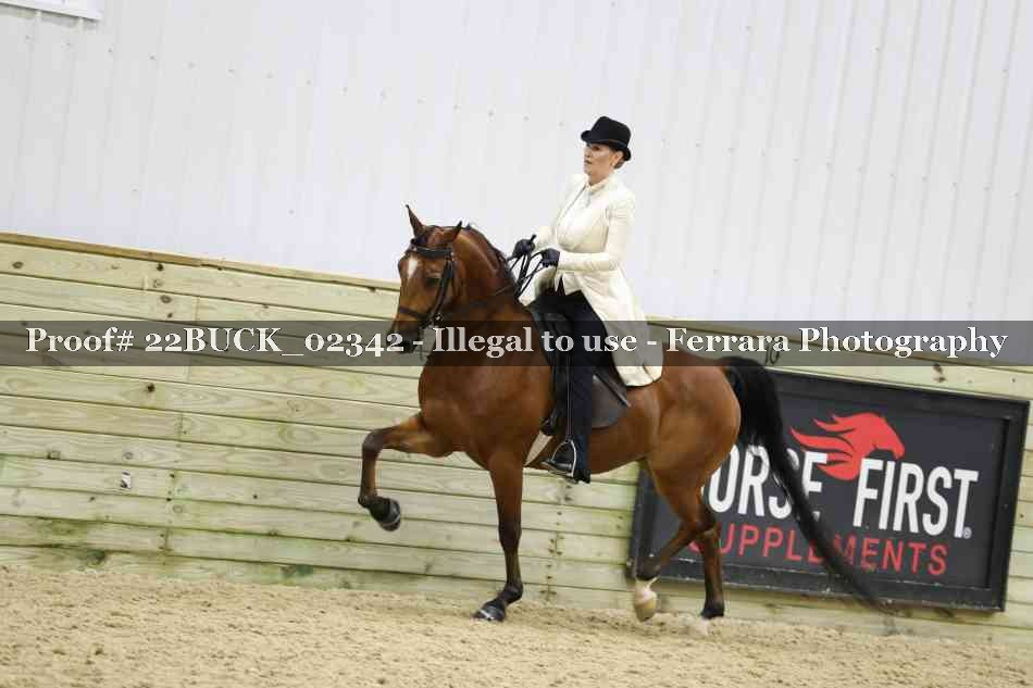 Proof 22BUCK_02342