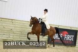 22BUCK_02342 proof