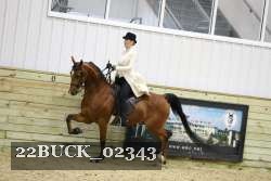 22BUCK_02343 proof