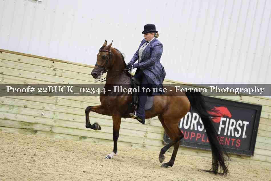 Proof 22BUCK_02344