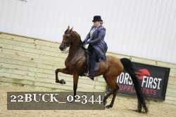 22BUCK_02344 proof