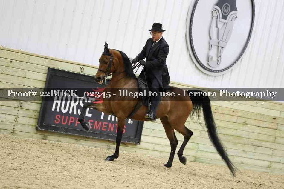 Proof 22BUCK_02345