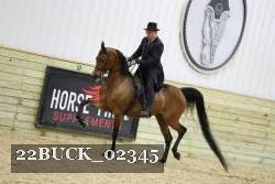 22BUCK_02345 proof
