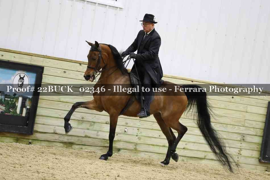 Proof 22BUCK_02346
